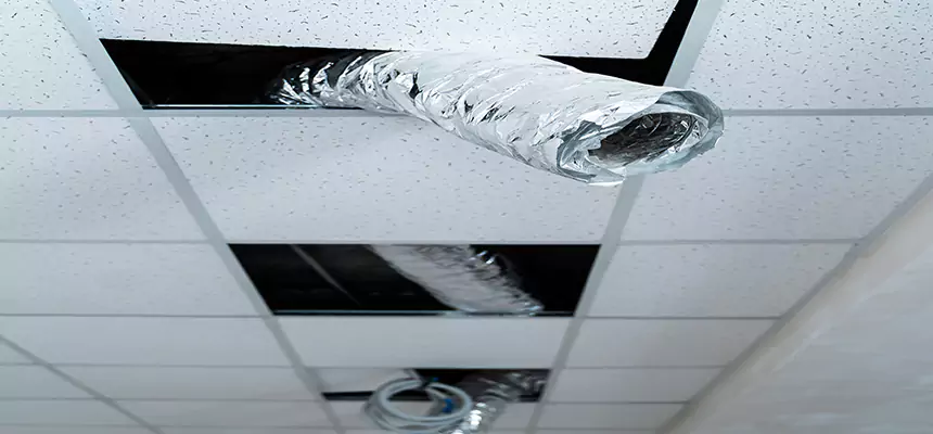 Affordable HVAC Sanitizing After Pest Removal in Chambersburg