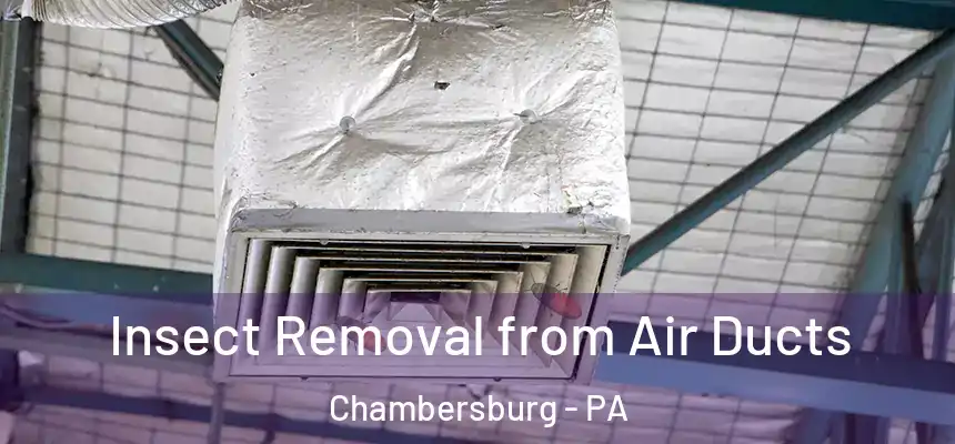  Insect Removal from Air Ducts Chambersburg - PA