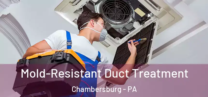  Mold-Resistant Duct Treatment Chambersburg - PA