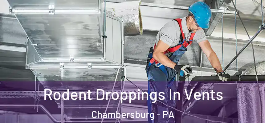  Rodent Droppings In Vents Chambersburg - PA