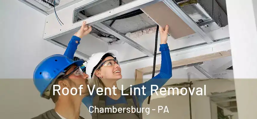 Roof Vent Lint Removal Chambersburg - PA